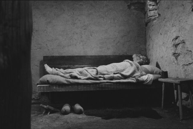 The Turin Horse